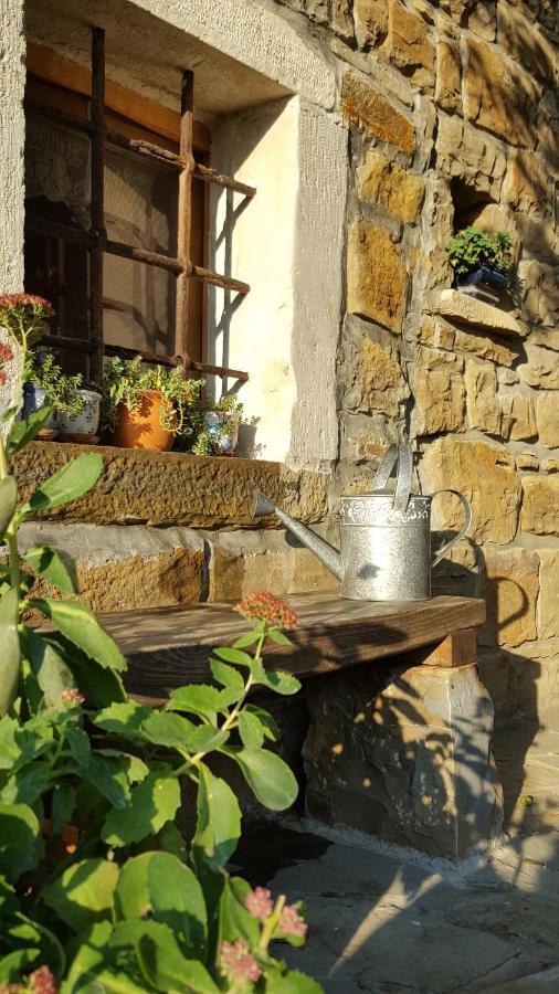 Sečovlje Istrian Stone House 빌라 외부 사진
