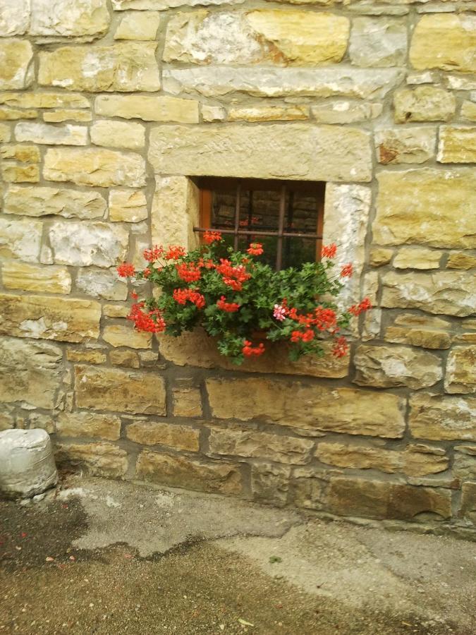 Sečovlje Istrian Stone House 빌라 외부 사진