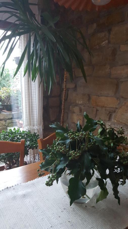 Sečovlje Istrian Stone House 빌라 외부 사진